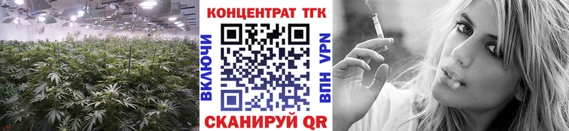МЕГА tor  Богородицк  ТГК Wax 