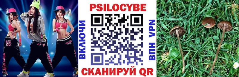 KRAKEN сайт  Богородицк  Псилоцибиновые грибы ЛСД 