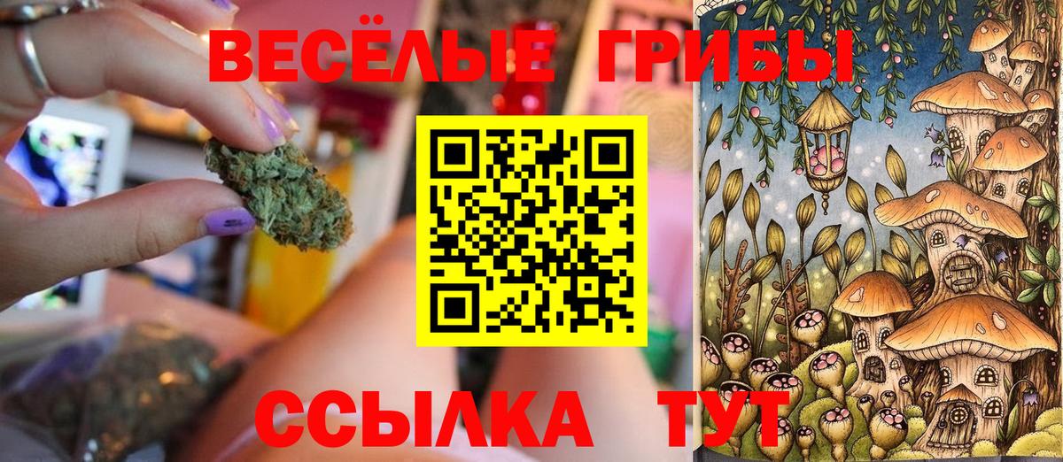 Галлюциногенные грибы мицелий  где купить наркоту  Богородицк  Вход с VPN 