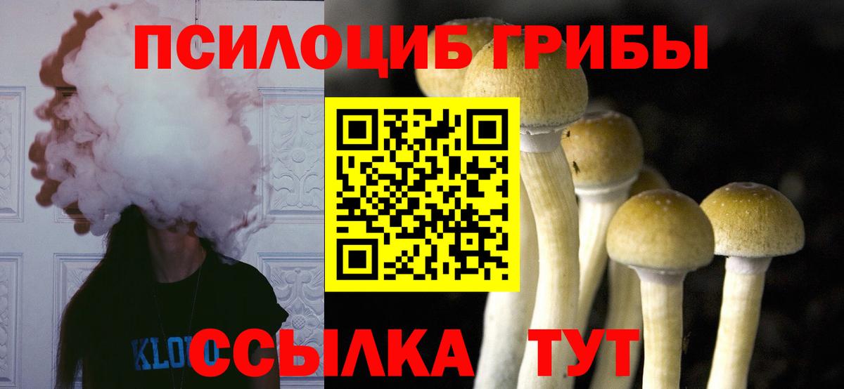 Псилоцибиновые грибы мухоморы Богородицк