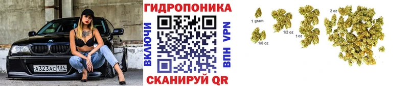 Канабис марихуана  Богородицк 